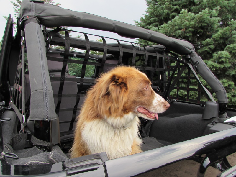 Raingler Jeep Wrangler JK/TJ/LJ/YJ Cargo/Pet Divider 105 JeepinOutfitters