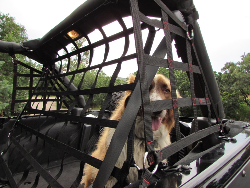 Raingler Jeep Wrangler JK/TJ/LJ/YJ Cargo/Pet Divider 105